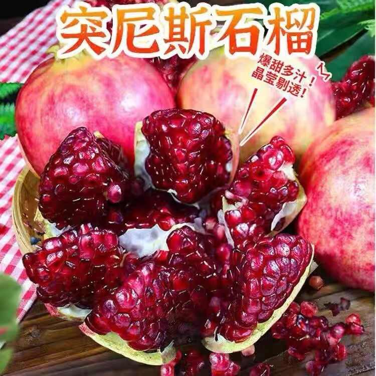 【产地直发】四川突尼斯软籽石榴水果新鲜时令软籽甜脆现摘整箱