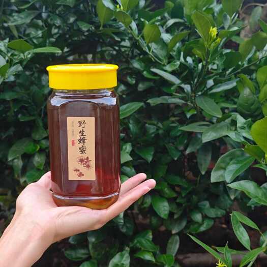 长汀县农村自家的土蜂蜜，不是蜂场的自己家养的