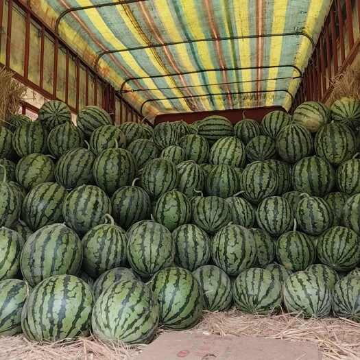 北京无籽麒麟瓜新鲜水果直供