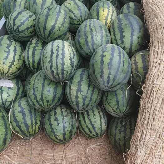 北京甜王西瓜有籽新鲜水果北京顺义发货