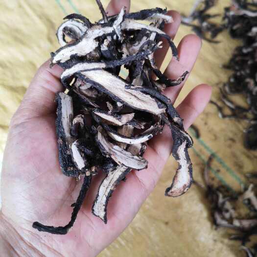 土人参栌兰 土西洋参 申时花 草参 非种植统货不挑不选