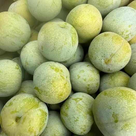 巫山正宗重庆巫山青脆李