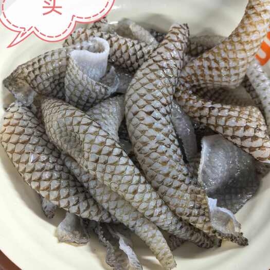 深圳清水鱼皮（凉拌鱼皮，火锅鱼皮，油炸鱼皮）