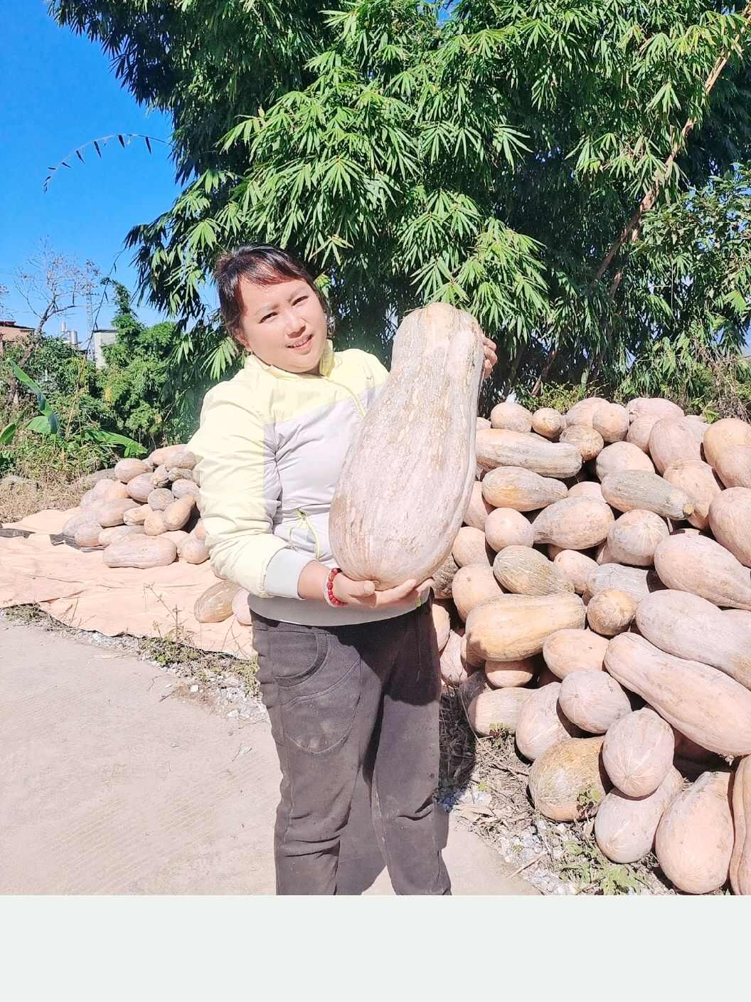 云南高原蜜本南瓜，颜色好看，甜，糯，自然成熟。耐储存