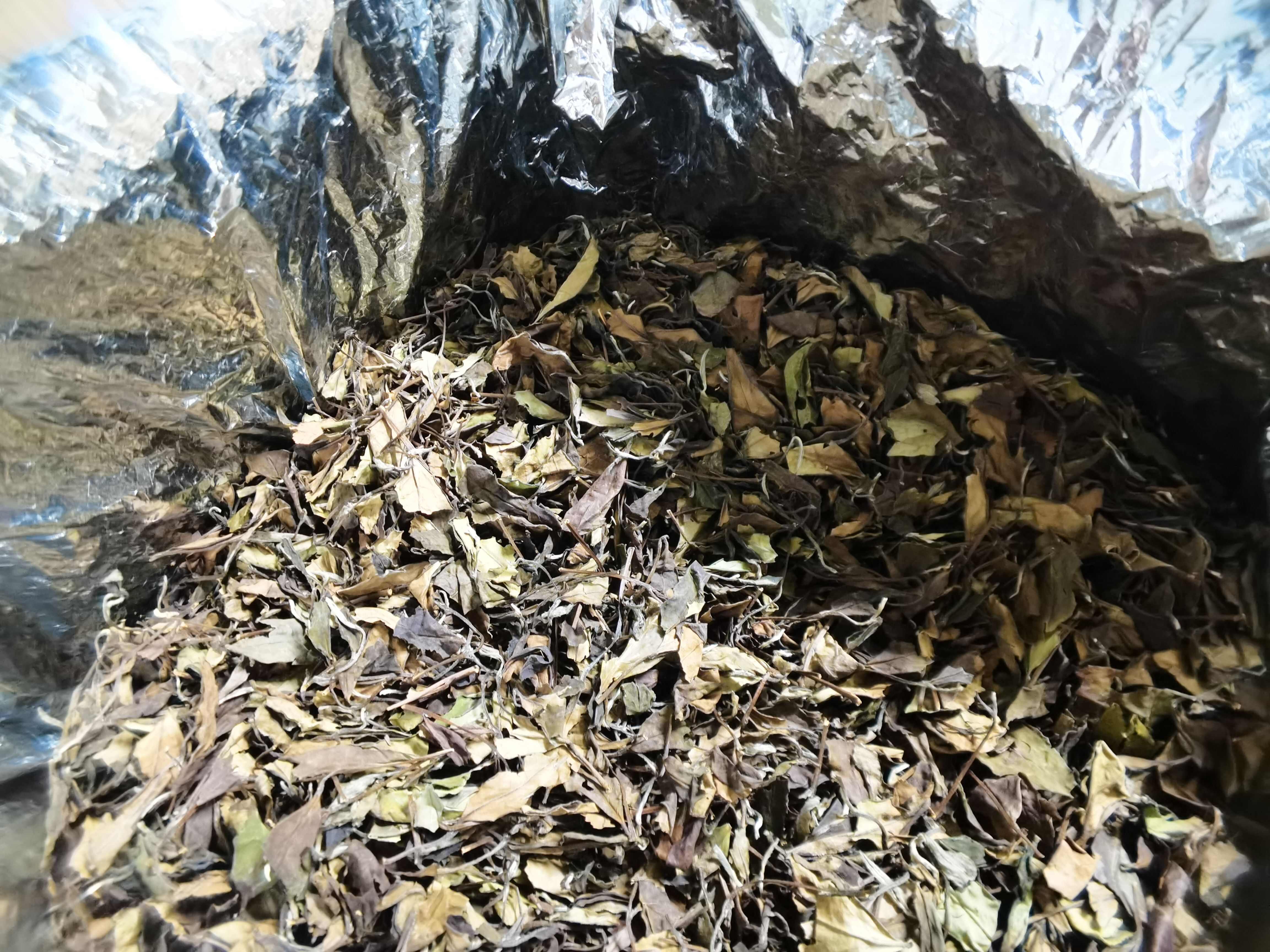 可煮 可闷 可泡的福鼎白茶2020高山老白茶寿眉散茶 茶叶