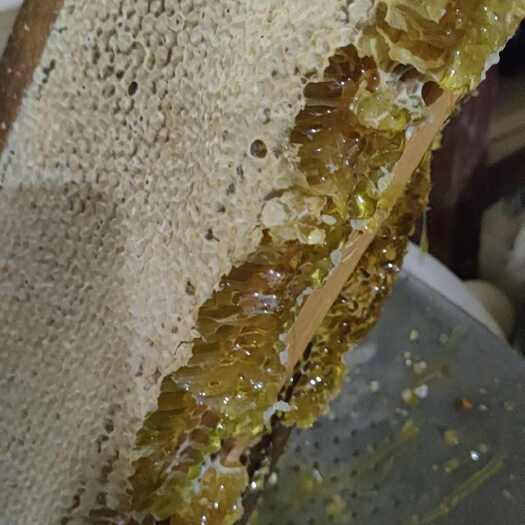 毕节土蜂蜜