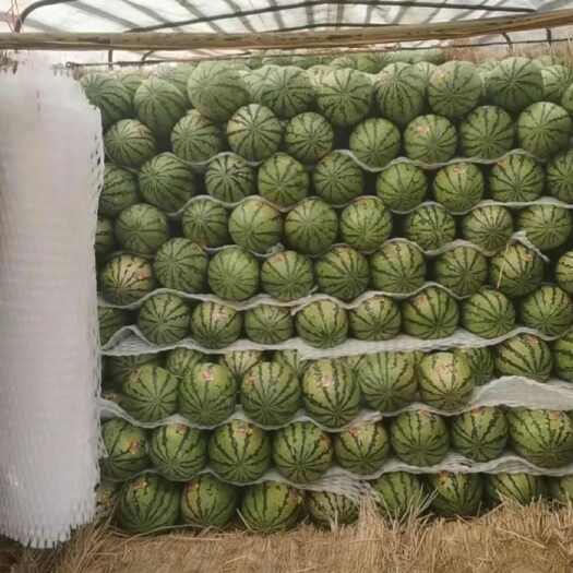 中卫宁夏硒砂瓜