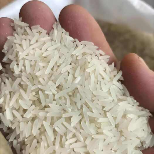 炎陵县不抛光不打蜡农家大米