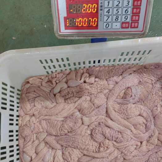 成都精品去油生肥肠头，每天成都全地区现杀现发