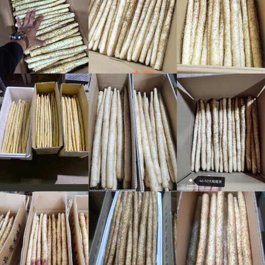 安平县小白嘴山药，铁棍山药，产地直供，一手货源，量大质优。欢迎选购