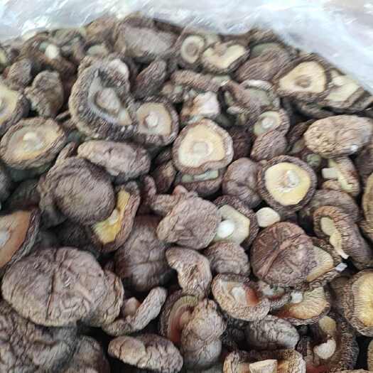 福州干香菇