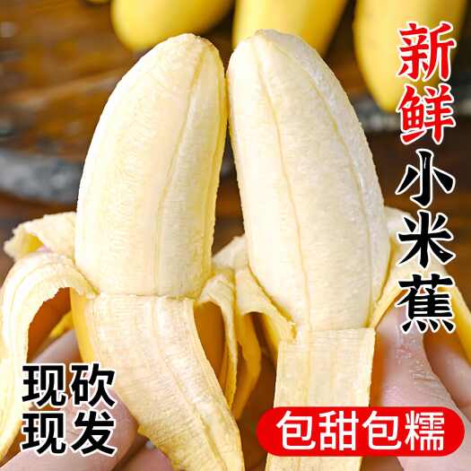 上林县正品广西小米蕉香蕉9斤新鲜水果整箱当季鲜苹果蕉自然熟粉蕉包
