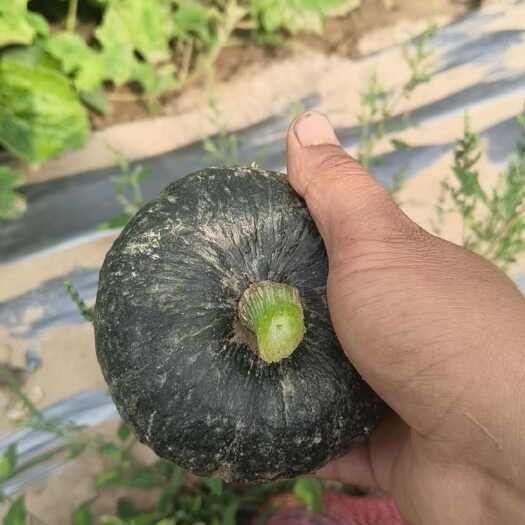 甜面