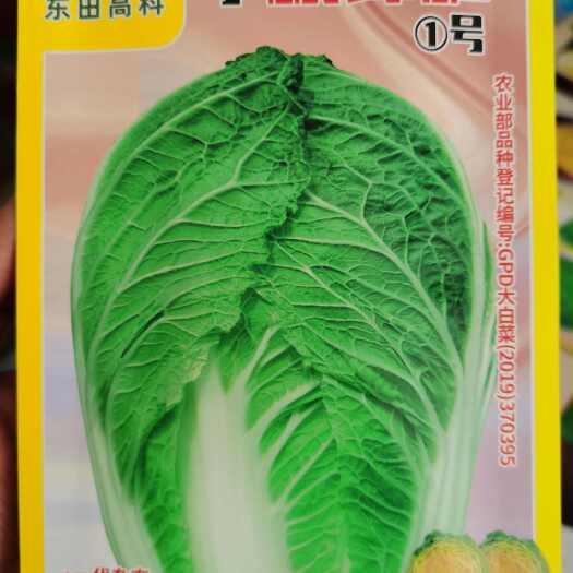 小秋锦和CR瑞春68