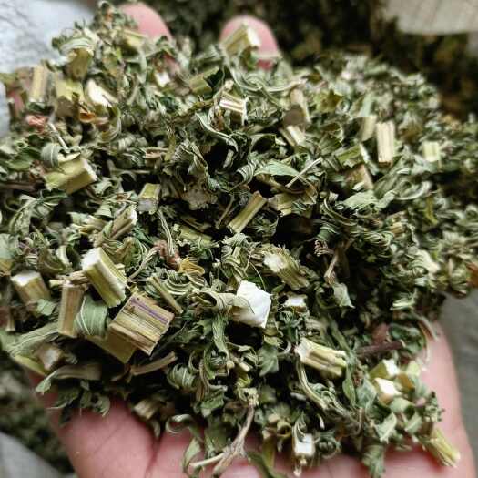 商城县益母草断子