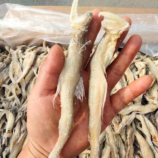 滨州龙头鱼干，腌制咸鱼干！新货泡一下蒸煎炸都好吃产地直发无差价