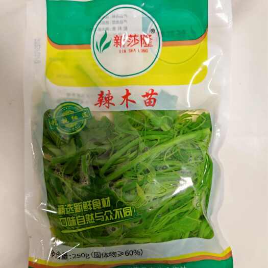 佛山新莎隆辣木苗。速冻辣木苗 姑娘菜 赤苍藤。厂家直发，量大详谈