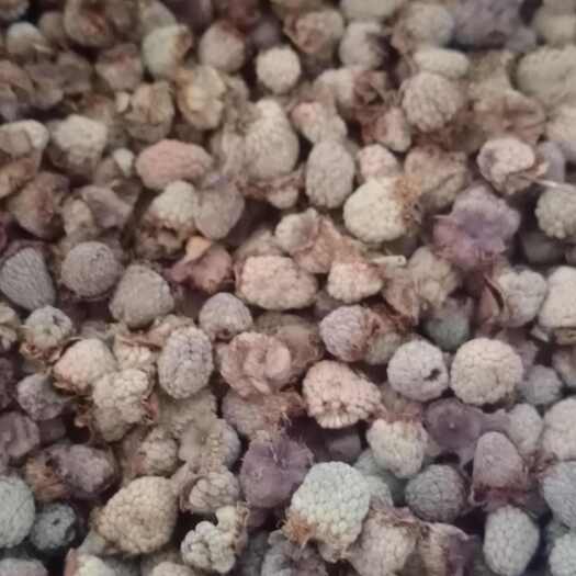 新昌县覆盆子