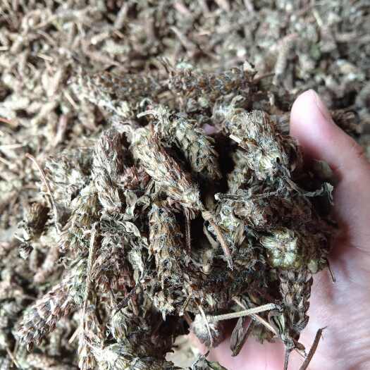 都匀市夏枯球，通货，无硫，无杂草