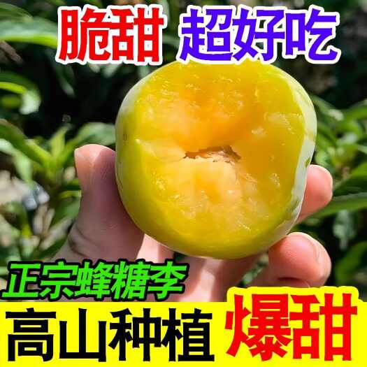 眉山正品四川超甜蜂糖李子脱骨李当季新鲜水果冰糖李子脆甜整箱批发