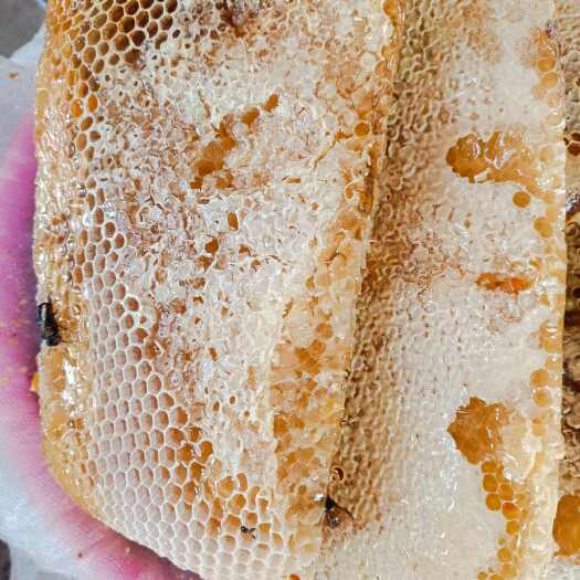 龙南市江西龙南百花蜜天然蜂蜜24个月保质期营养滋补品农副加工