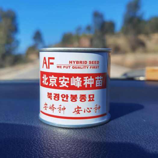 昆明加工萝卜种子：青头少、耐抽苔、抗糠心