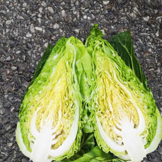 牛心甘，鸡心白
