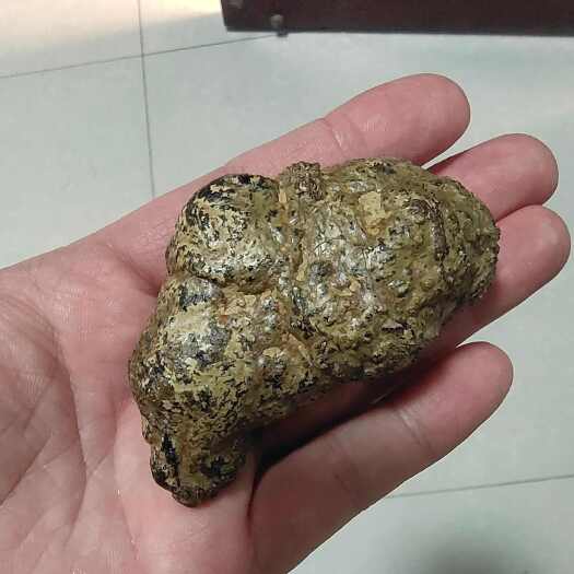 任丘市羊结石