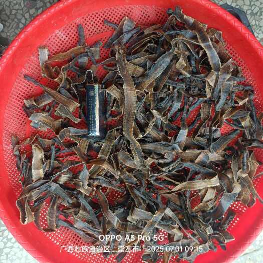 龙州县广西崇左市龙州县！干地龙！