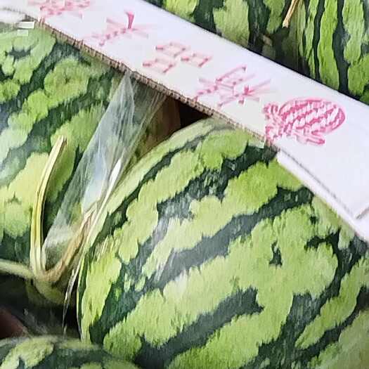 麒麟瓜
