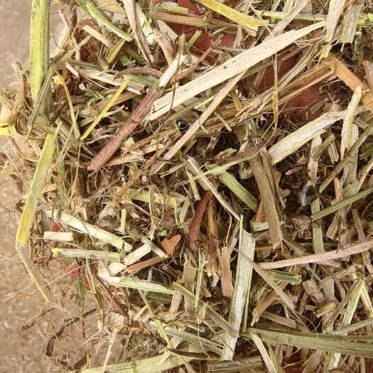 长年供货保质保量年出货量10000+吨