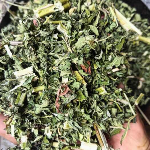 玉林益母草