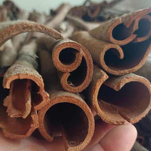 梧州肉桂皮