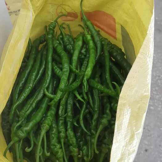 永顺县湘西高山富硒螺丝椒青椒红椒