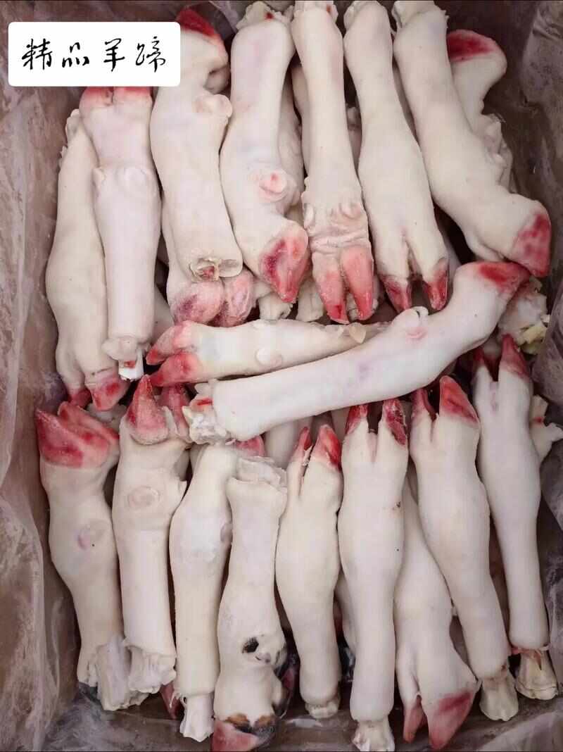 羊蹄