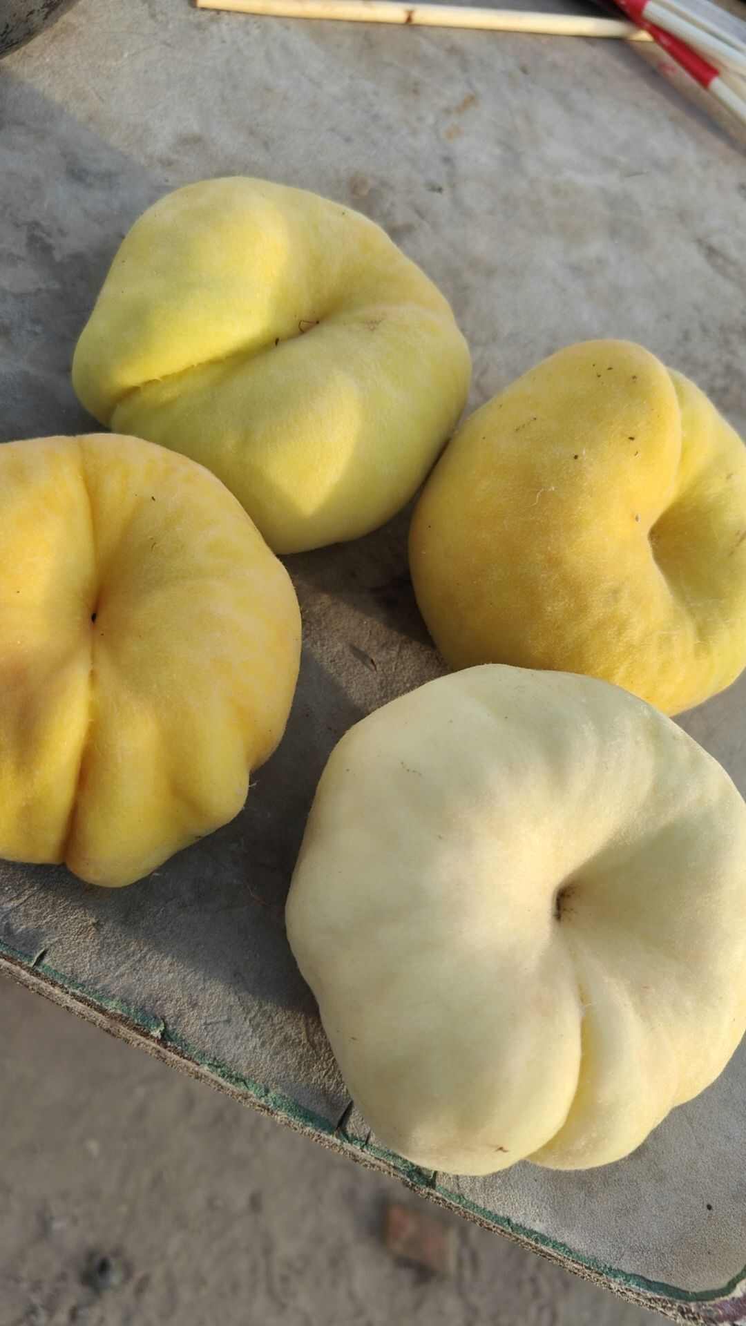 白蟠桃