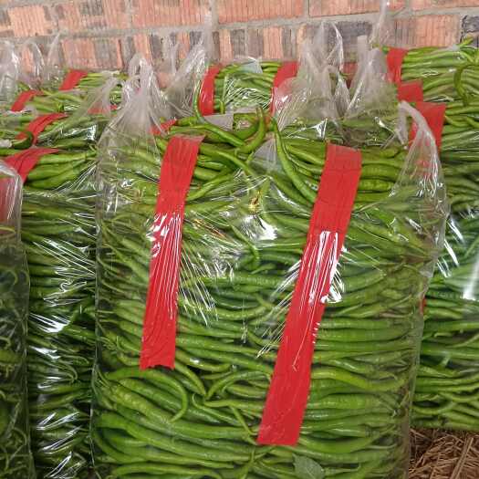四川成都简阳二荆条辣椒 优质农产品