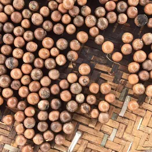 耿马县云南临沧耿马夏威夷果 干果坚果 农副加工源头直供