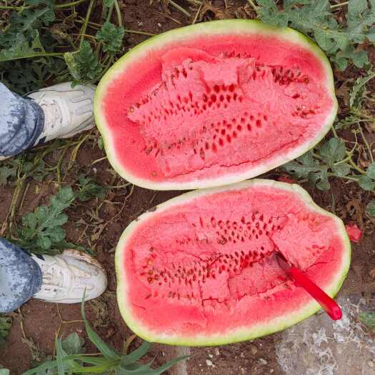 吴忠宁夏硒砂瓜，糖度高，耐运输，品质保证……