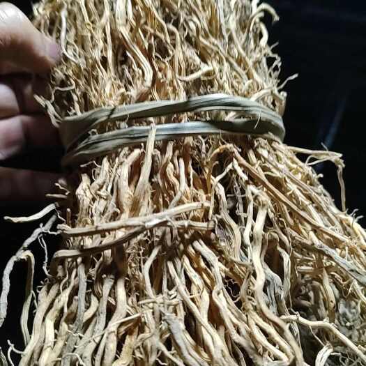 邵阳牛尾菜，马尾伸筋，牛尾伸筋，伸筋草