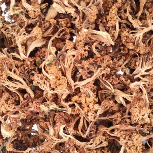 沛县江苏徐州沛县干花菜 农副蔬菜加工优质干菜