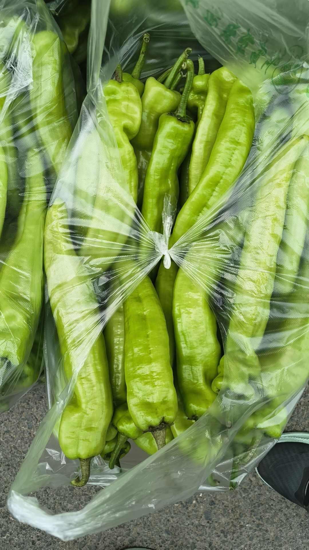 货源充足，25年泡椒大量供应，大量上市