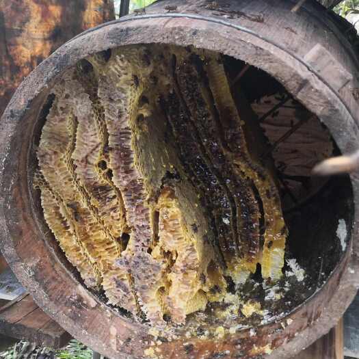 花垣县湘西土蜂蜜24个月保质期天然蜂蜜营养滋补品非药品
