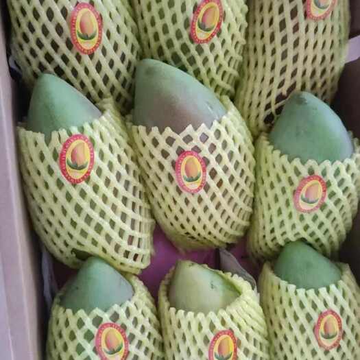 佛冈县百色芒果，包邮精品大贵妃