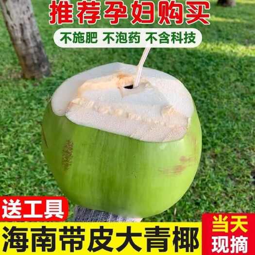 海南文昌椰青新鲜椰子水果孕妇去皮香椰皇椰汁椰子蛋整箱特产包邮