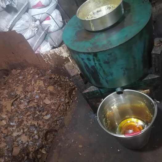 成都油枯
