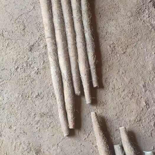 出售新疆白玉中大，特大