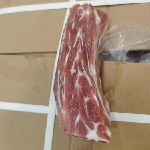 献县羔羊无轴长脖骨