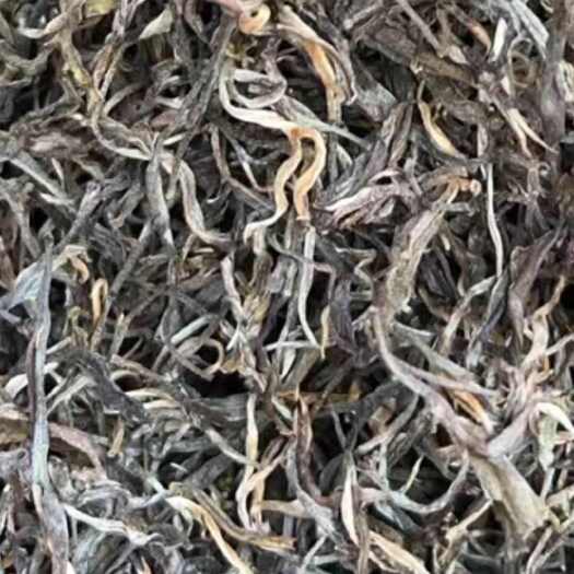勐腊县铜箐河古树头春