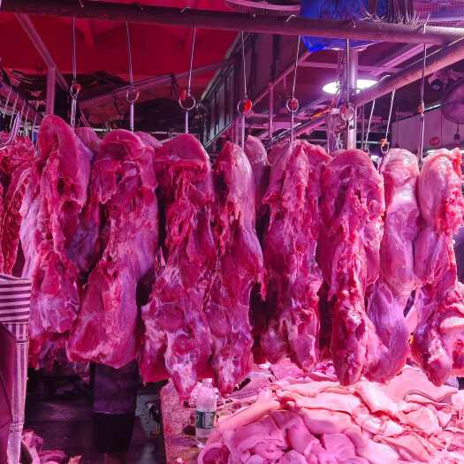 重庆市重庆九龙坡区优质猪肉新鲜冷冻批发